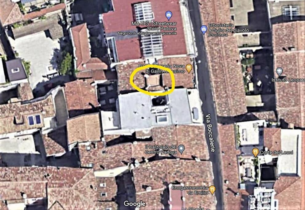 Residence Dei Frutti Pieno Centro - Il Cedro Padwa Zewnętrze zdjęcie